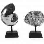 Set of Silver Shells from Home Element