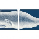 Whale Trays Burke Decor