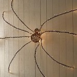 Twig Oversized Spider Pottery Barn
